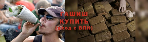 трава Ельня