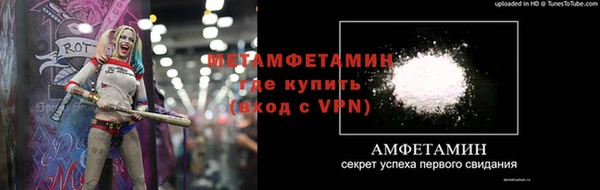 трава Ельня