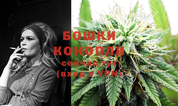 винт Елизово
