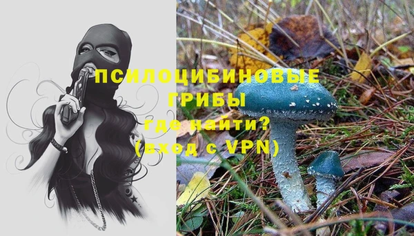 прущий лед Елабуга