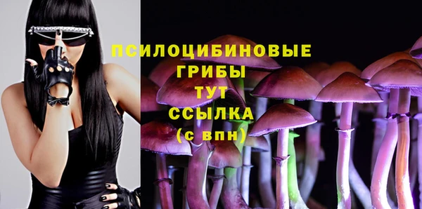 круглые Дмитриев
