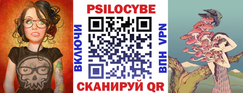 закладка Пятигорск Галлюциногенные грибы Cubensis